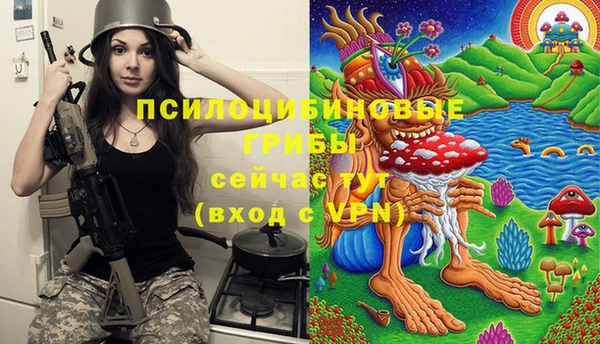 гидропоника Каменногорск