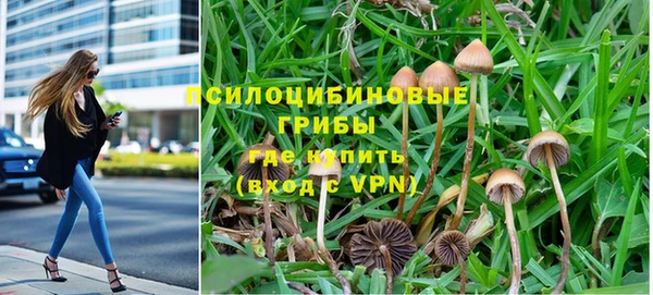 гидропоника Каменногорск